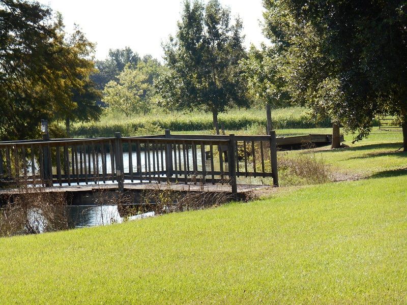 13505 Junius Rd, Abbeville, LA 70510